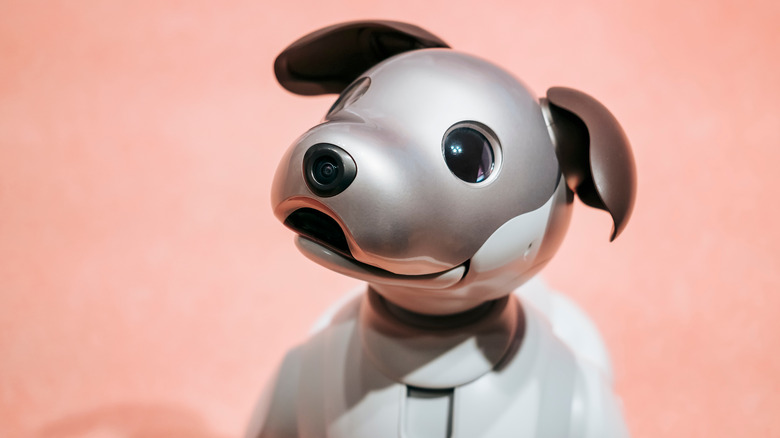 Sony Aibo robot