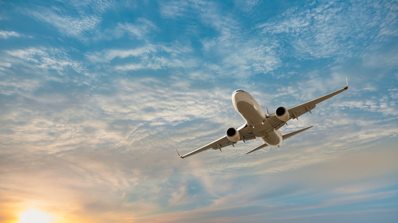 commercial airliner and tropical sunset