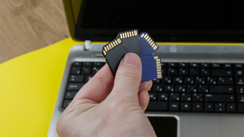 hand holding four SD cards