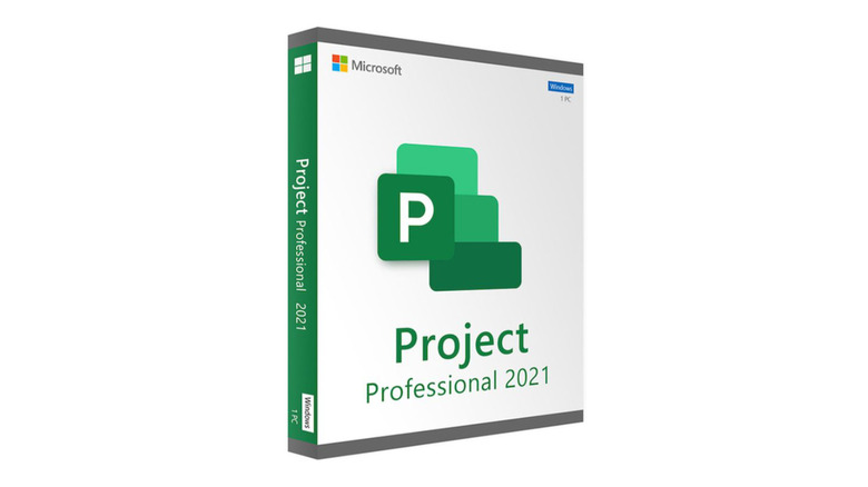 Microsoft Project 2021 Professional (PC)